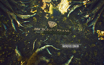 Template Thumb Image