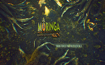 Template Thumb Image