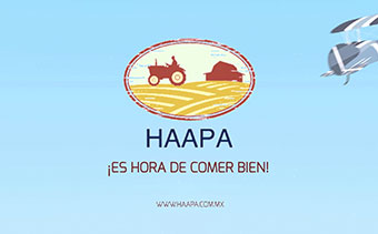 Template Thumb Image