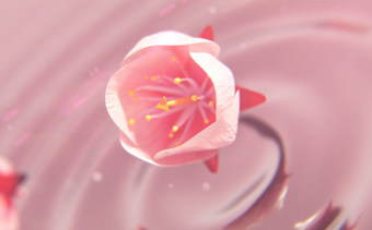 Template Thumb Image