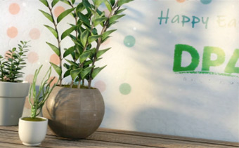 Template Thumb Image