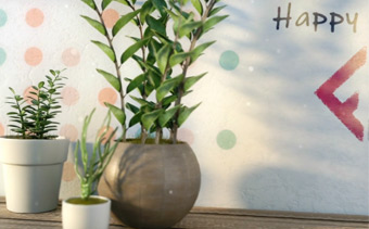 Template Thumb Image