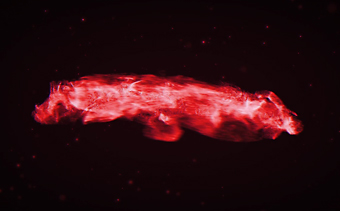 Template Thumb Image