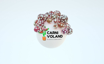 Template Thumb Image