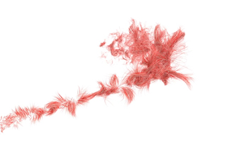 Template Thumb Image