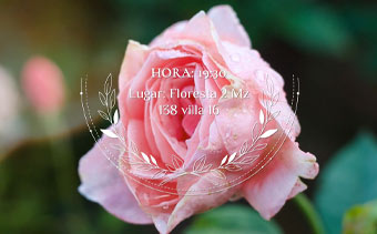 Template Thumb Image