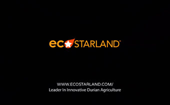 Template Thumb Image