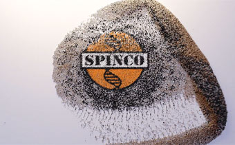 Template Thumb Image