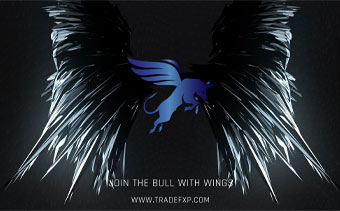 Template Thumb Image