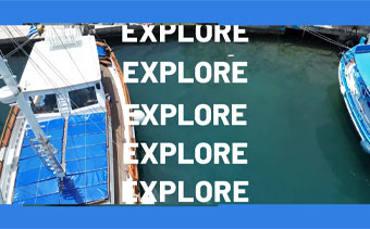 Template Thumb Image