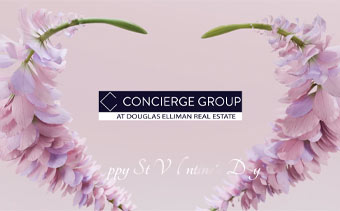 Template Thumb Image