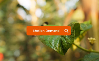 Template Thumb Image