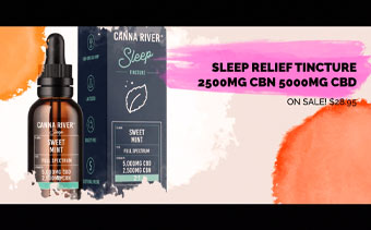 Template Thumb Image