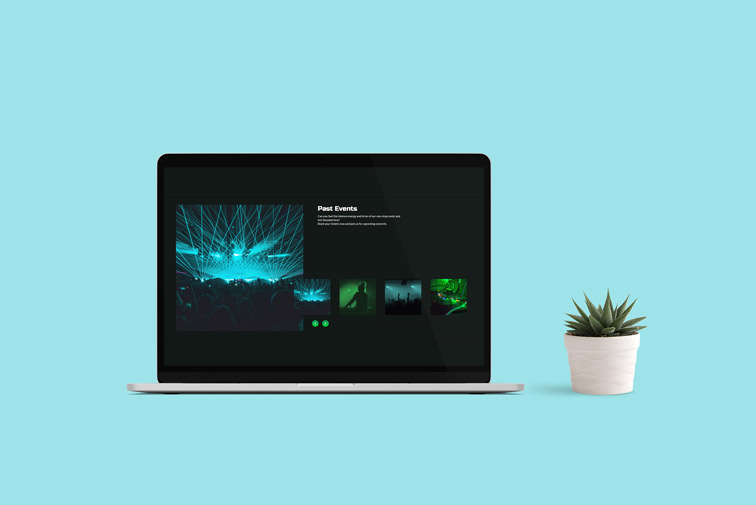 Ноутбук и растение