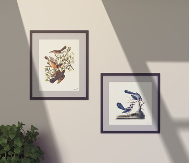 Rectangular and Square Frames on the Wall