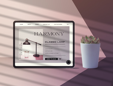 iPad with a Cactus Pot in Shade