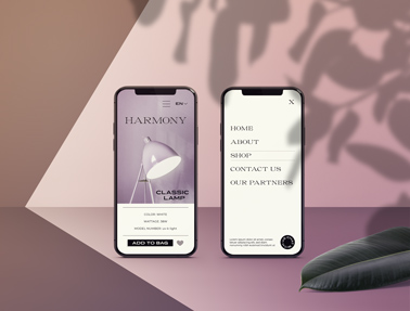 Two iPhones on a Shady Background