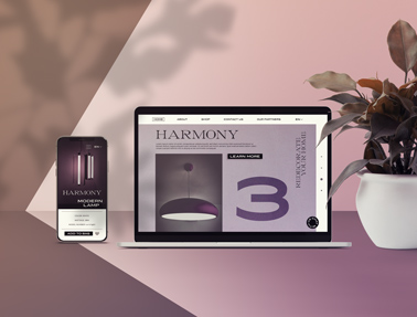 iPhone, MacBook, and a Plant Pot