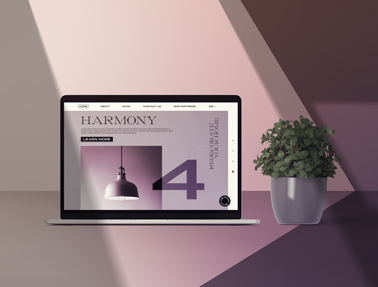 MacBook and a Plant Pot in Shade