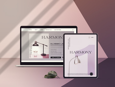 MacBook and iPad in Shade