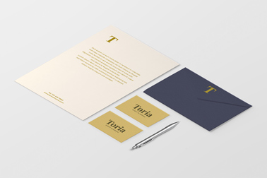 Flyer, Business Cards, and an Envelope