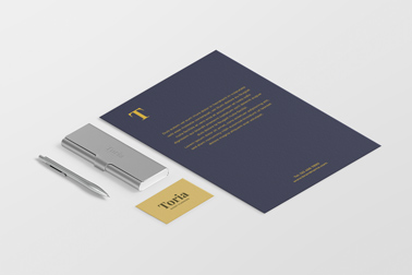 Business Card, a Flyer, and a Pen
