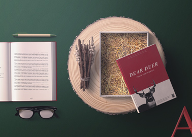 Open and Closed Books on a Writing Desk