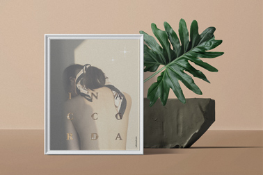 Vertical Frame with a Stone Decor and a Plant