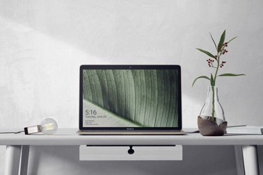 Workspace with a Laptop and a Flower Vase 