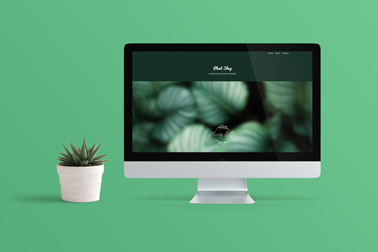 iMac, вид спереди