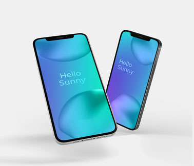 Two iPhone 12 Models on a White Background