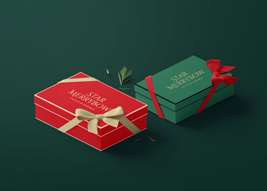 Two Gift Boxes Tied with Ribbon Bows