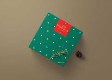 Christmas Gift Box with a Fir Branch and a Cone