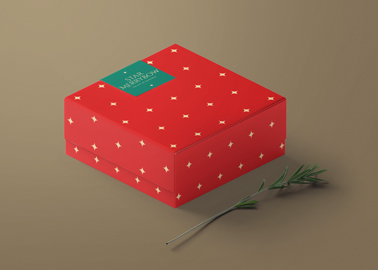 Christmas Gift Box with a Fir Branch