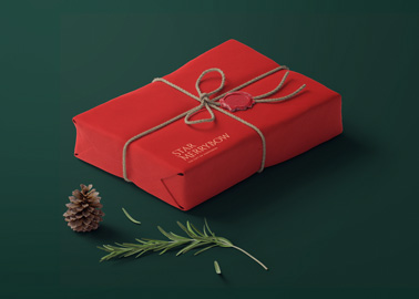 Christmas Package with a Fir Branch and a Cone
