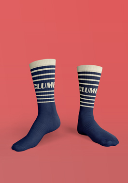Pair of Executive Socks Front View