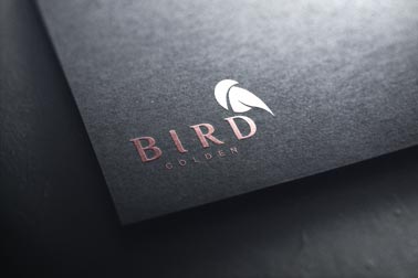 Zoomed-in Logo on a Black Paper