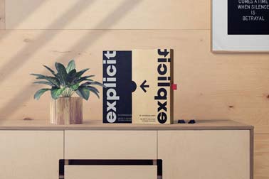 Book with its Slipcase and a Plant Pot on a Cabinet