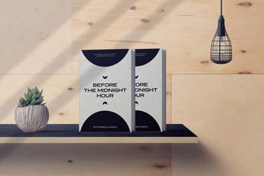 Two Hardcover Books and a Plant Pot on a Shelf