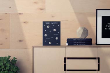 Standing Book next to Book Stacking on a Cabinet