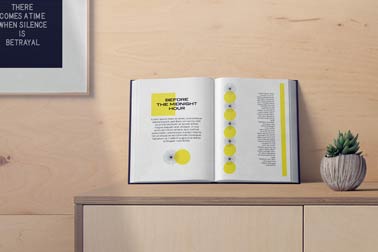 Open Book and a Plant Pot on a Cabinet