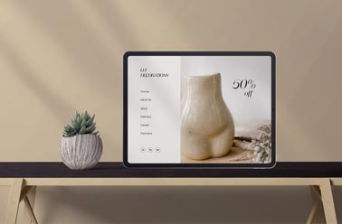 iPad Pro and a Plant Pot on a Desk