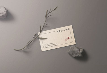 Visitenkarte mit Steinen und einer Pflanze