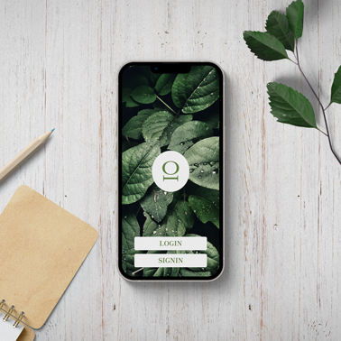 iPhone and a Branch on a White Wooden Desk