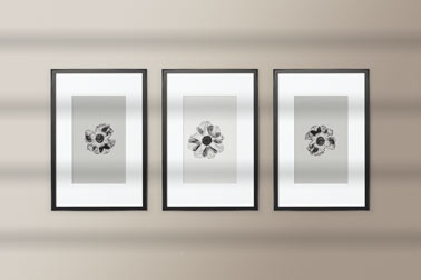 Three Vertical Frames on the Wall