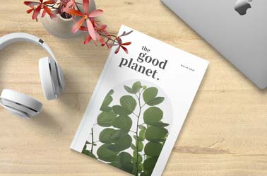 Book and a Headphone on a Desk