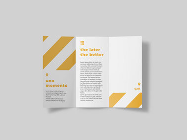 Open Brochure on a White Surface