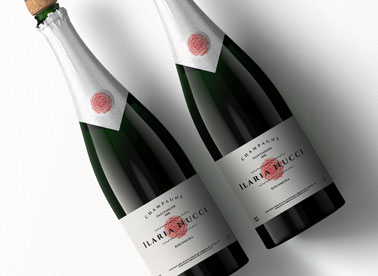 Two Champagne Bottles on a Gray Surface