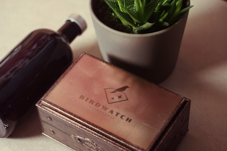 Vintage Box with a Bottle and a Plant