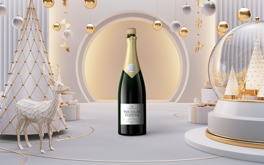 Champagne Bottle with Christmas Decorations